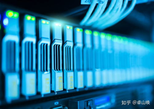 大學(xué)計(jì)算機(jī)教育vs補(bǔ)習(xí)班包就業(yè) 網(wǎng)絡(luò)技術(shù)開發(fā)領(lǐng)域的選擇困境