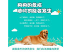 寵物定位器 守護愛寵的科技新寵