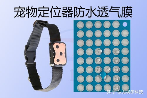 解密寵物定位器IP67防水設計 透氣膜的科技之道